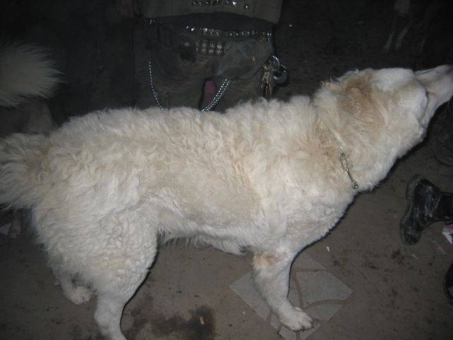 20040226_0038.jpg - click for next picture