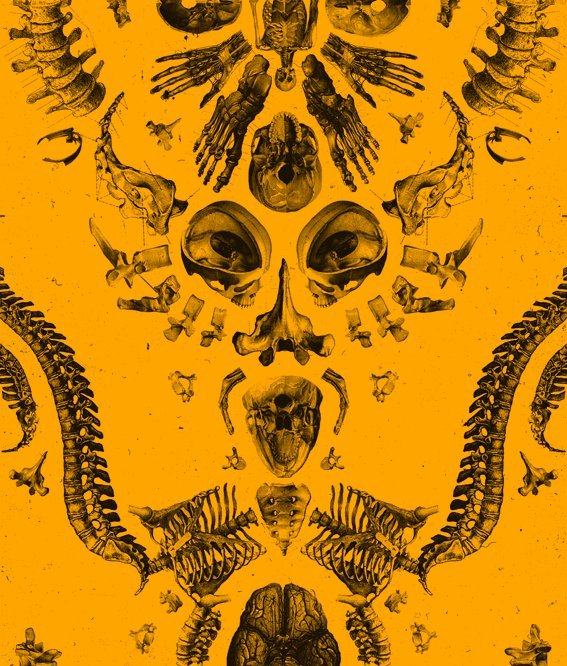 20100928_0010.jpg - click for next picture